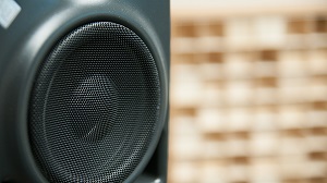 Two-part photo. On the left, detail of the membrane of a loudspeaker in black.