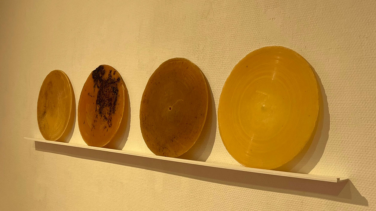 Schallplatten aus Wachs. Foto: Rebecca Wolf Vier Schallplatten aus Wachs auf einem Regal